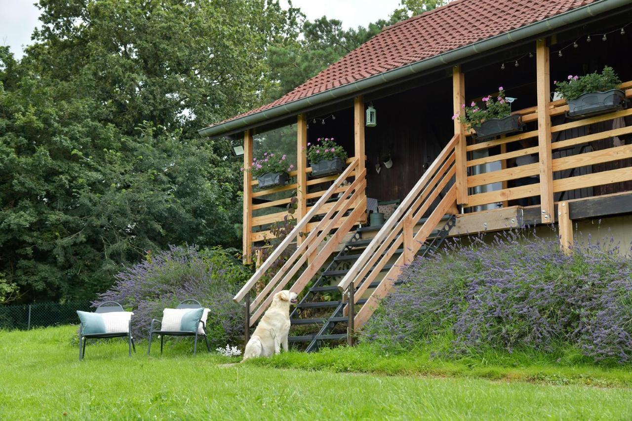 Le Chalet D'Eliot Chevigny  Eksteriør bilde